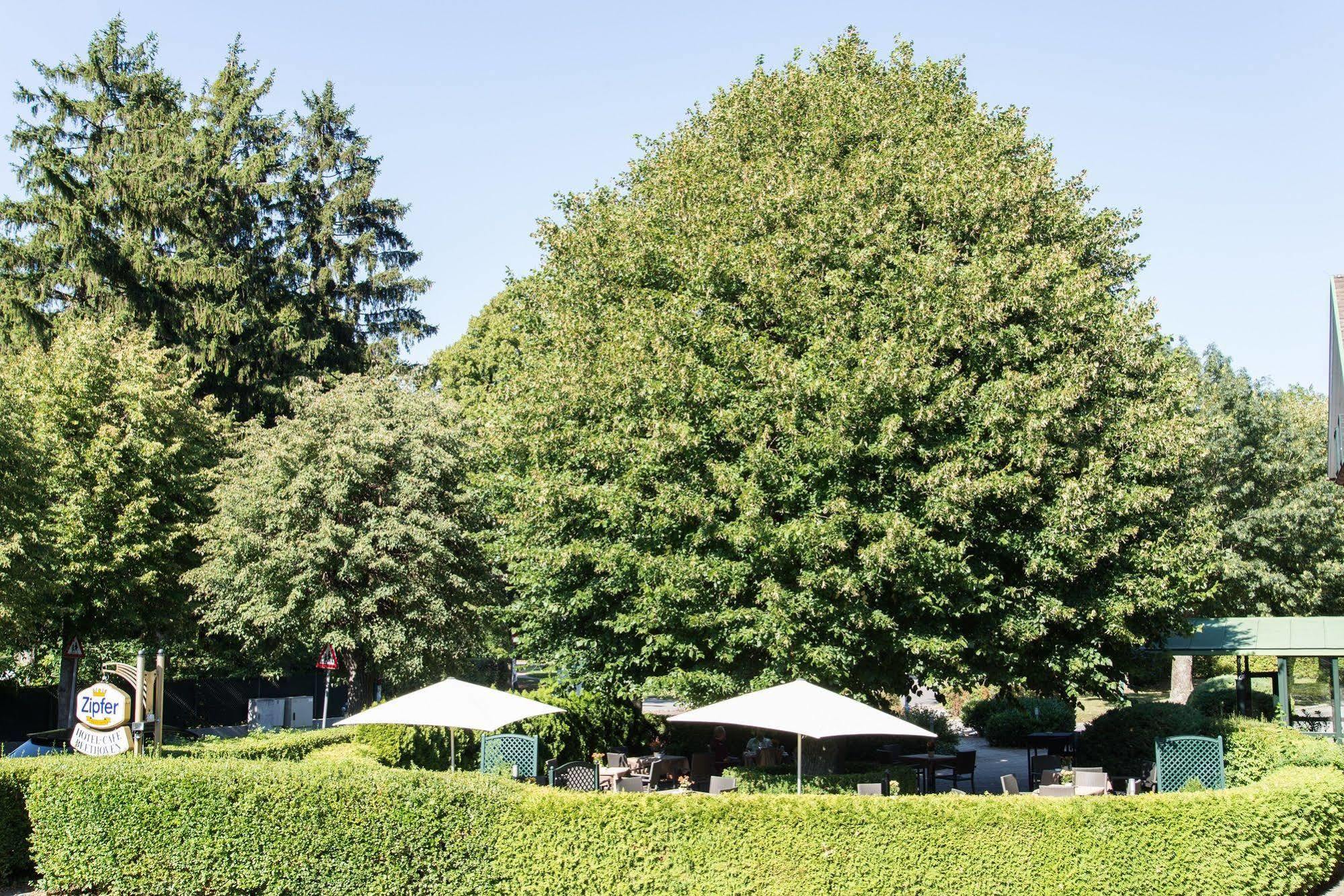 Hotel Beethoven Hinterbrühl المظهر الخارجي الصورة